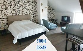 Centre De Provins : Superbe Appartement Neuf